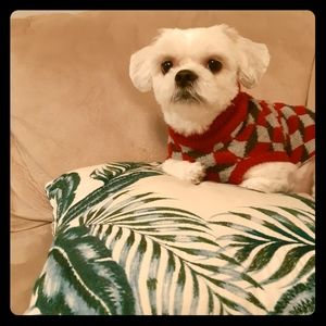 Meet your Posher, Suhee